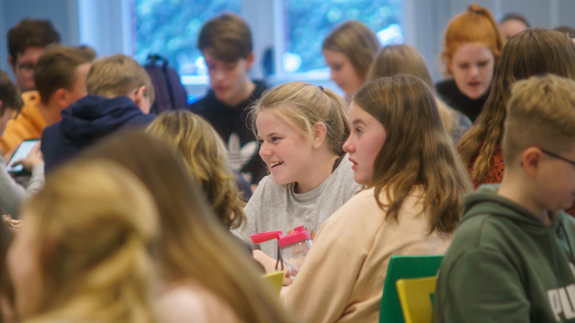 hardenberg hardenberg